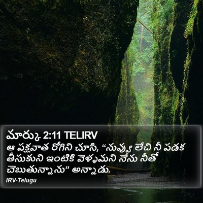 మార్కు 2:11 TELIRV Bible Verse Image