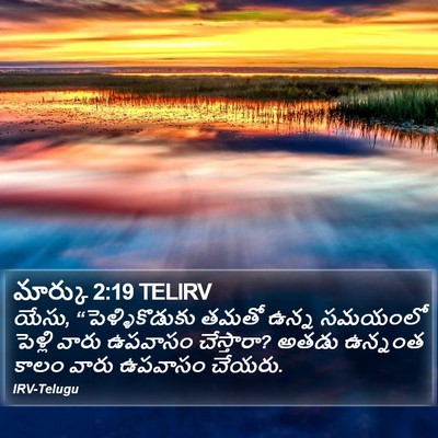 మార్కు 2:19 TELIRV Bible Verse Image