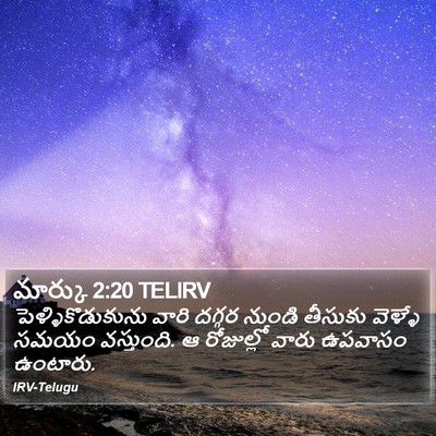 మార్కు 2:20 TELIRV Bible Verse Image