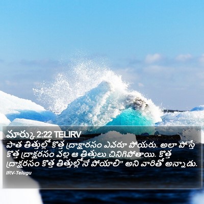 మార్కు 2:22 TELIRV Bible Verse Image