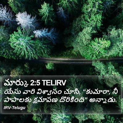 మార్కు 2:5 TELIRV Bible Verse Image