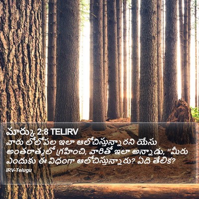 మార్కు 2:8 TELIRV Bible Verse Image