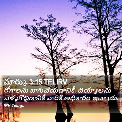 మార్కు 3:15 TELIRV Bible Verse Image