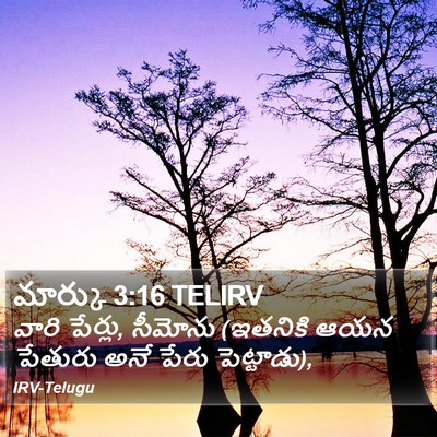 మార్కు 3:16 TELIRV Bible Verse Image