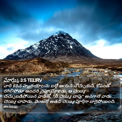 మార్కు 3:5 TELIRV Bible Verse Image