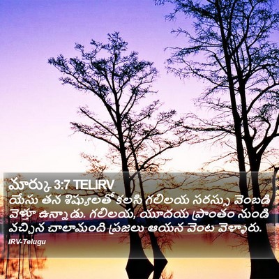 మార్కు 3:7 TELIRV Bible Verse Image