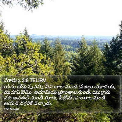 మార్కు 3:8 TELIRV Bible Verse Image
