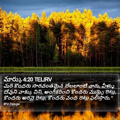 మార్కు 4:20 TELIRV Bible Verse Image