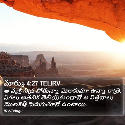 మార్కు 4:27 TELIRV Bible Verse Image