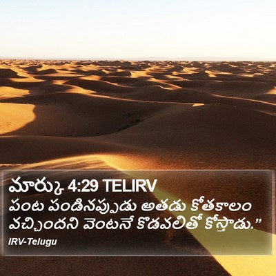 మార్కు 4:29 TELIRV Bible Verse Image