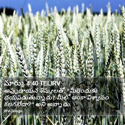 మార్కు 4:40 TELIRV Bible Verse Image