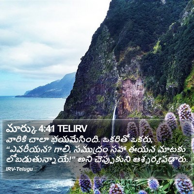 మార్కు 4:41 TELIRV Bible Verse Image