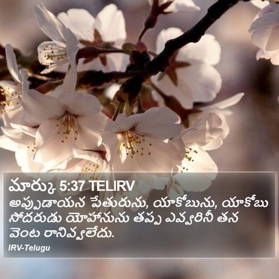 మార్కు 5:37 TELIRV Bible Verse Image