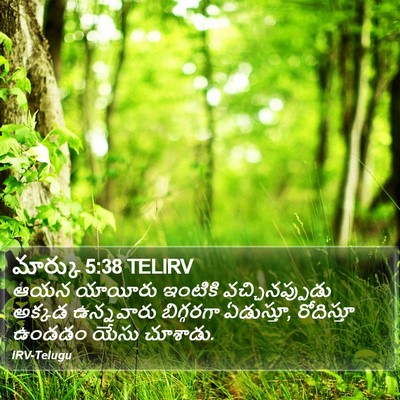 మార్కు 5:38 TELIRV Bible Verse Image