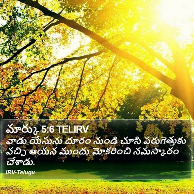 మార్కు 5:6 TELIRV Bible Verse Image