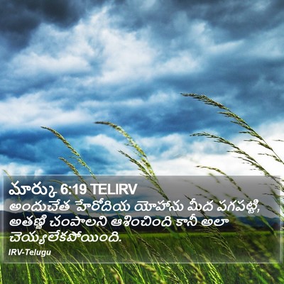 మార్కు 6:19 TELIRV Bible Verse Image