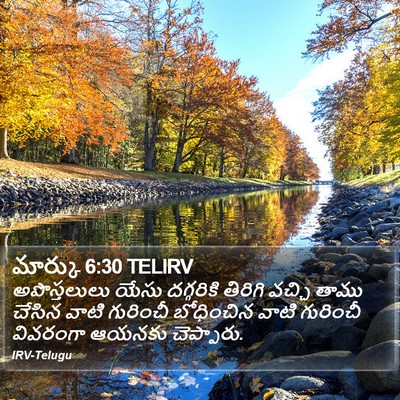 మార్కు 6:30 TELIRV Bible Verse Image