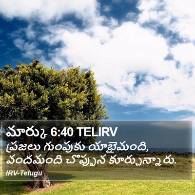 మార్కు 6:40 TELIRV Bible Verse Image