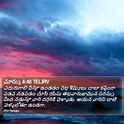 మార్కు 6:48 TELIRV Bible Verse Image