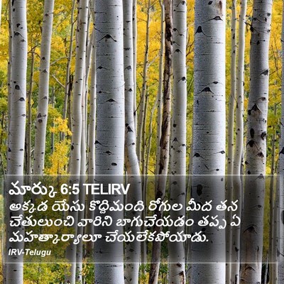 మార్కు 6:5 TELIRV Bible Verse Image