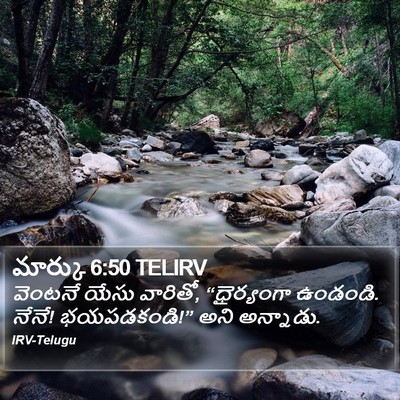 మార్కు 6:50 TELIRV Bible Verse Image