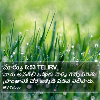 మార్కు 6:53 TELIRV Bible Verse Image