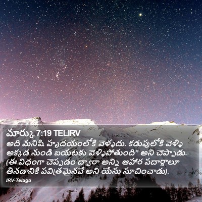 మార్కు 7:19 TELIRV Bible Verse Image
