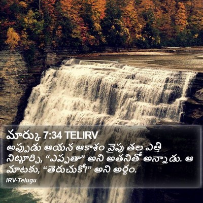 మార్కు 7:34 TELIRV Bible Verse Image