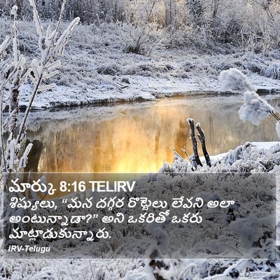 మార్కు 8:16 TELIRV Bible Verse Image