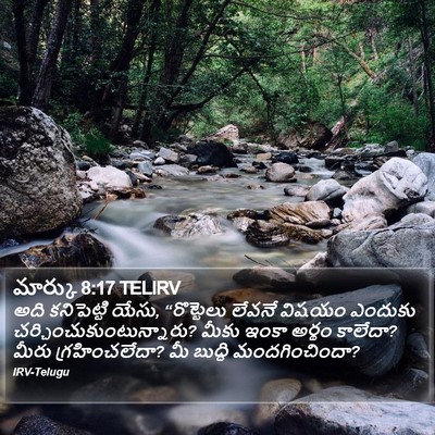 మార్కు 8:17 TELIRV Bible Verse Image