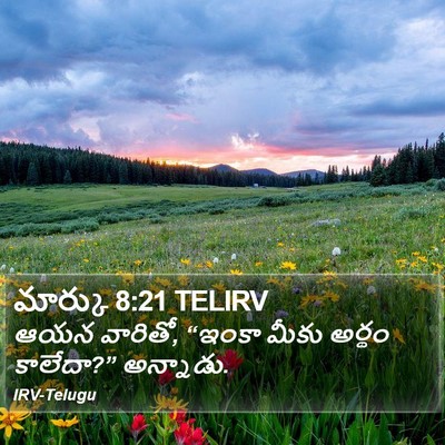 మార్కు 8:21 TELIRV Bible Verse Image