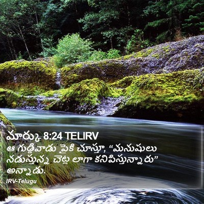 మార్కు 8:24 TELIRV Bible Verse Image