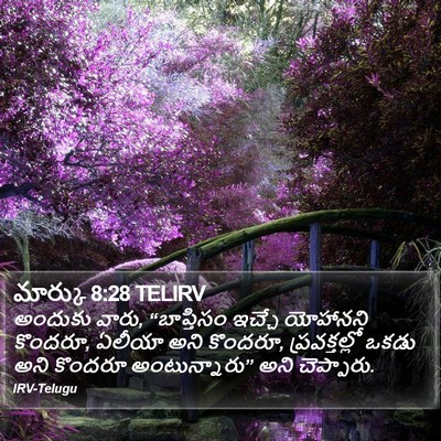 మార్కు 8:28 TELIRV Bible Verse Image
