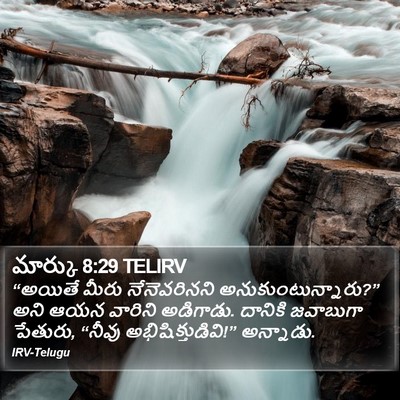 మార్కు 8:29 TELIRV Bible Verse Image