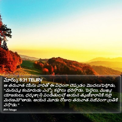 మార్కు 8:31 TELIRV Bible Verse Image