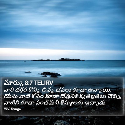 మార్కు 8:7 TELIRV Bible Verse Image