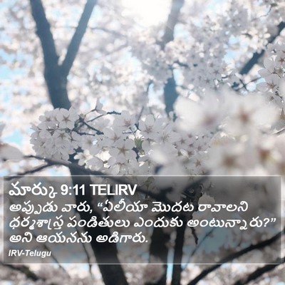 మార్కు 9:11 TELIRV Bible Verse Image