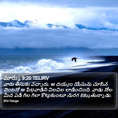 మార్కు 9:20 TELIRV Bible Verse Image