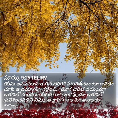 మార్కు 9:25 TELIRV Bible Verse Image