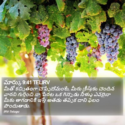 మార్కు 9:41 TELIRV Bible Verse Image