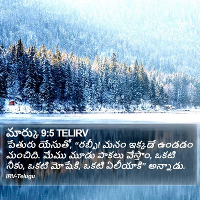 మార్కు 9:5 TELIRV Bible Verse Image