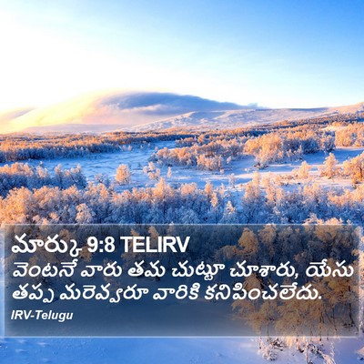 మార్కు 9:8 TELIRV Bible Verse Image