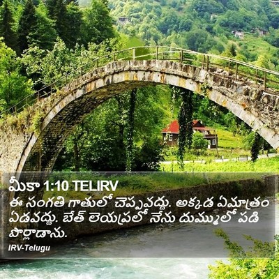 మీకా 1:10 TELIRV Bible Verse Image