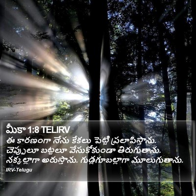 మీకా 1:8 TELIRV Bible Verse Image