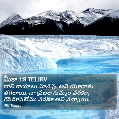 మీకా 1:9 TELIRV Bible Verse Image