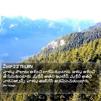 మీకా 2:2 TELIRV Bible Verse Image