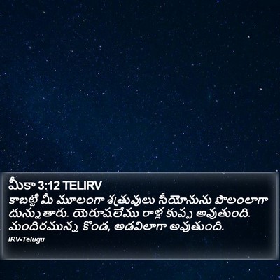 మీకా 3:12 TELIRV Bible Verse Image