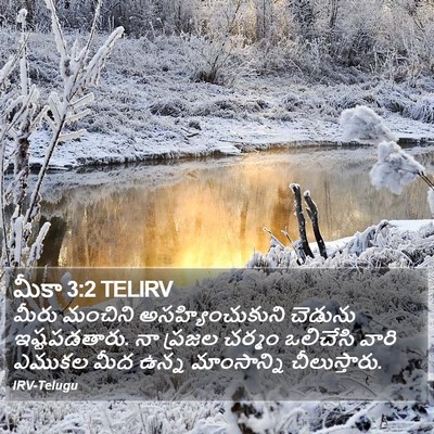 మీకా 3:2 TELIRV Bible Verse Image