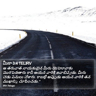 మీకా 3:4 TELIRV Bible Verse Image