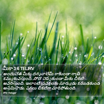 మీకా 3:6 TELIRV Bible Verse Image